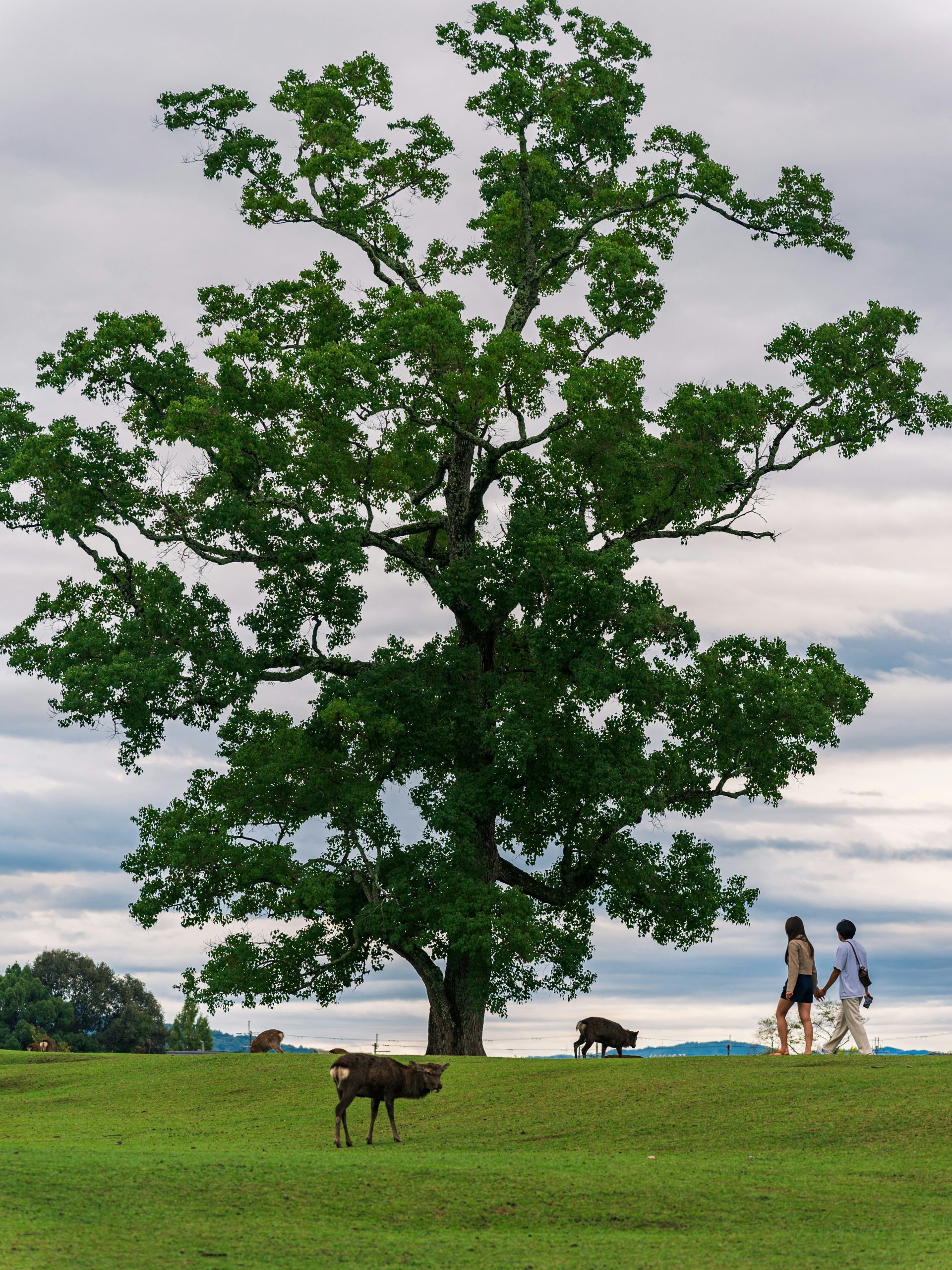 person setting boundaries with confidence in a relationship